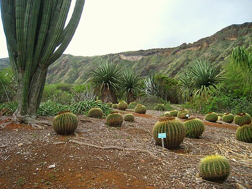 Koko Crater Botanical Garden