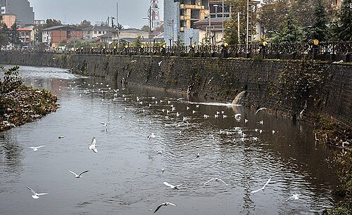 Zarjub River
