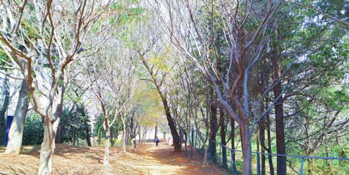 Wolmyeong Park