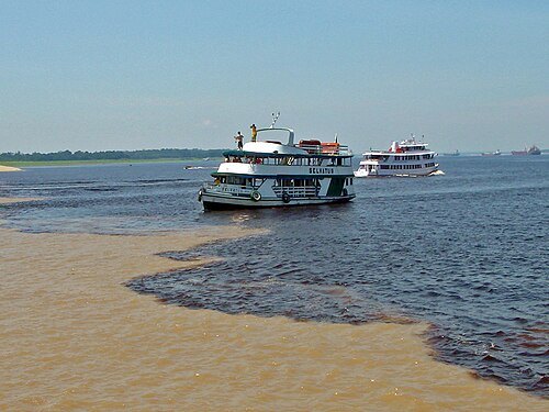 Solimões