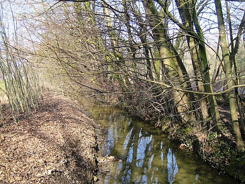 Woluwe