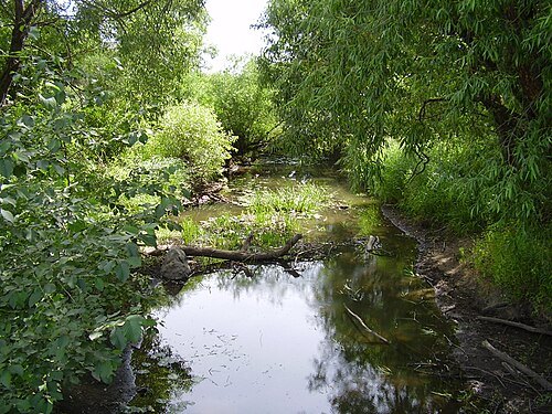 Auce River