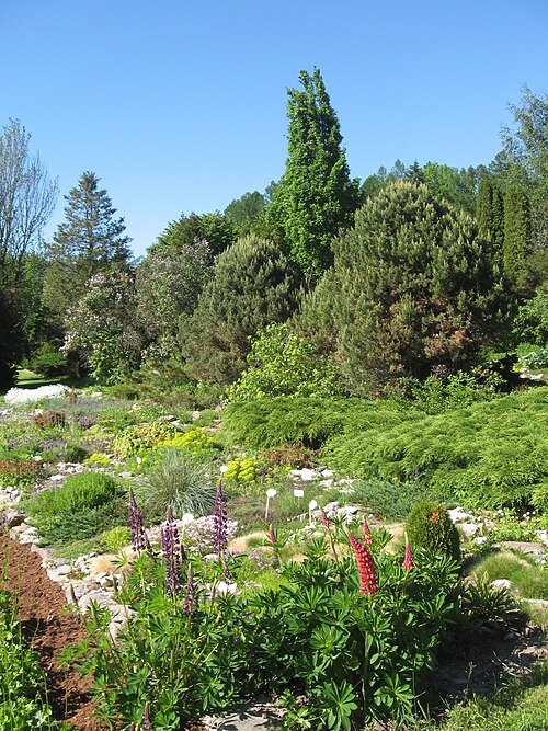 Luua Arboretum