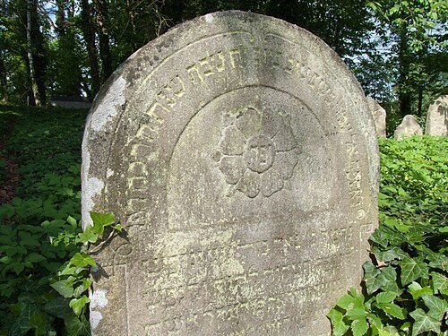 Jewish cemetery in Tučapy