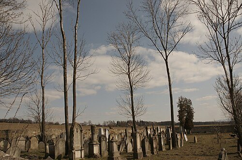 Jewish cemetery in Velká Bukovina