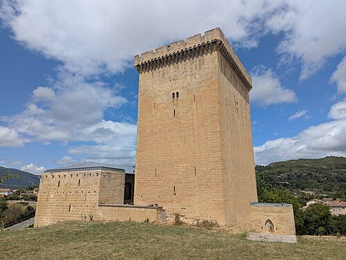 Torre-Palacio del Conde de Orgaz, Fontecha