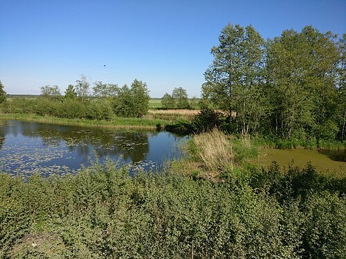 Svēte Floodplain Nature Park
