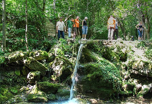 Spring of Stroiești