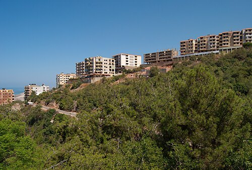 Beshamoun