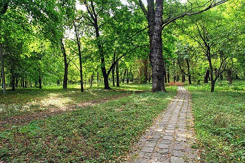 Park of Temeleuți