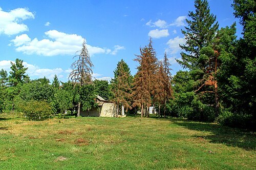 Park of Hincăuți