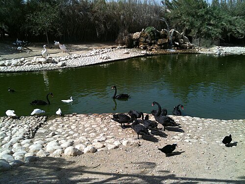 Jardín zoológico de Beerseba