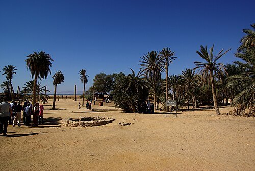 Oyun Musa (عيون موسى)