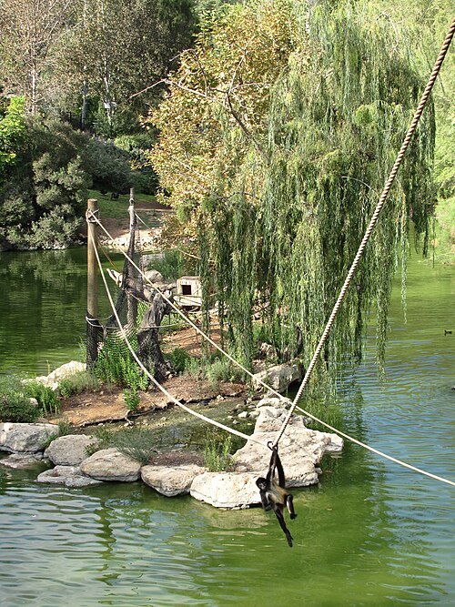 Jerusalem Biblical Zoo