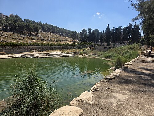 Solomon's Pools