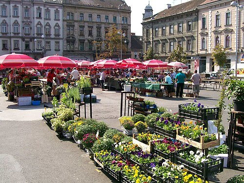 British Square