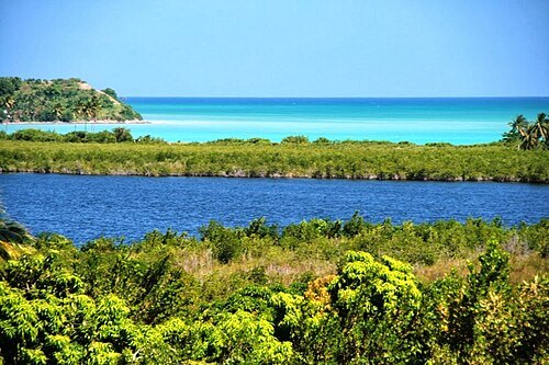 Île à Vache