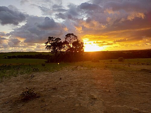 Conkouati-Douli National Park