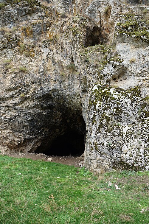 Treni Cave