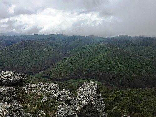 Plačkovica