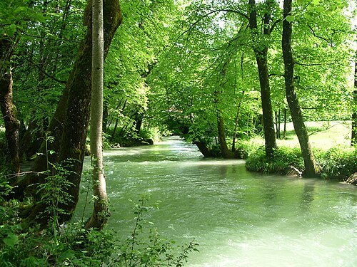 Eau morte