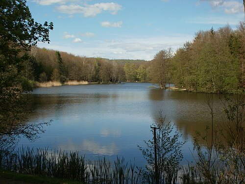 Burbacher Waldweiher