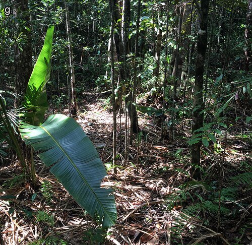Sainte Luce Reserve
