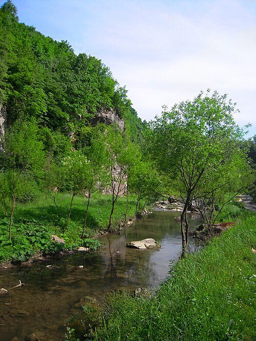 Suturlija