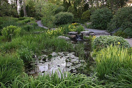 Roger-Van den Hende botanical garden