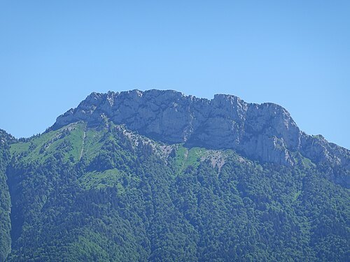 Lanfonnet