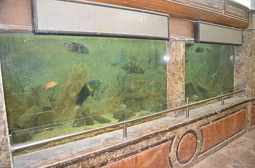 Alexandria Aquarium