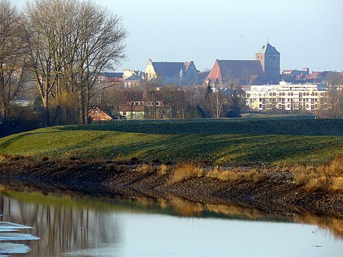 Schwinge