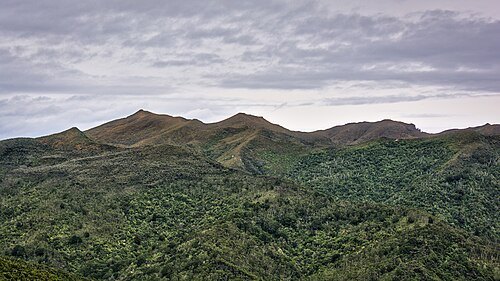 The Silverpeaks