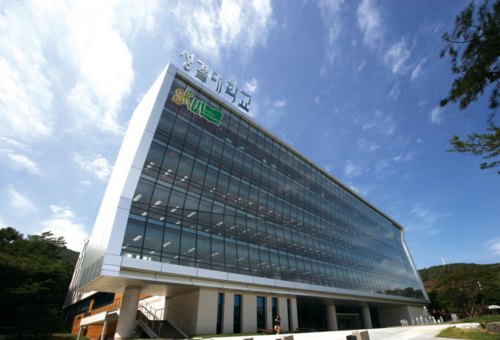 聖潔大學