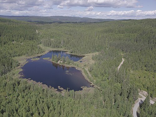 Tangetjernet