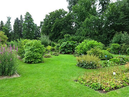 Bonn Botanical Garden