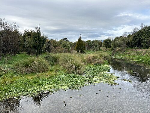 Mawaihakona Stream