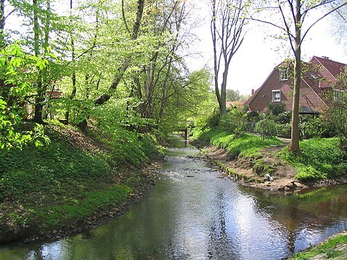 Kollau