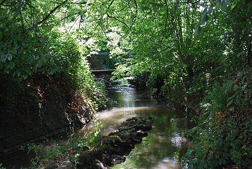 Néblon
