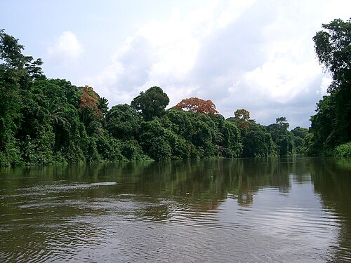 Lobé River