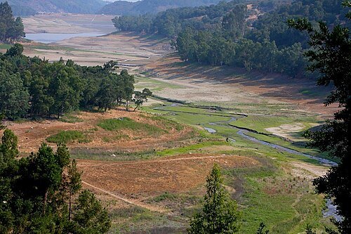 Los Gatos Creek