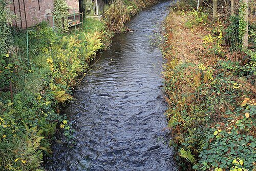 Finkenbach