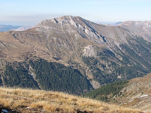 Bogićevica