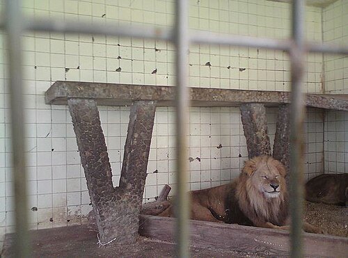 Parque zoológico de Tirana
