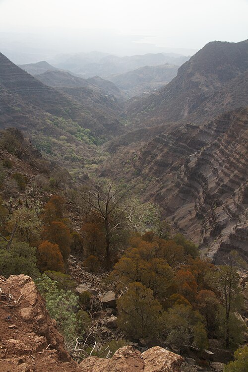 Montes Goda