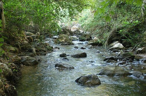 Kadisha River