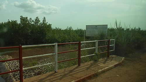 Cacheu Mangroves Natural Park