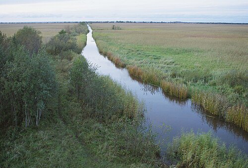 Penijõgi