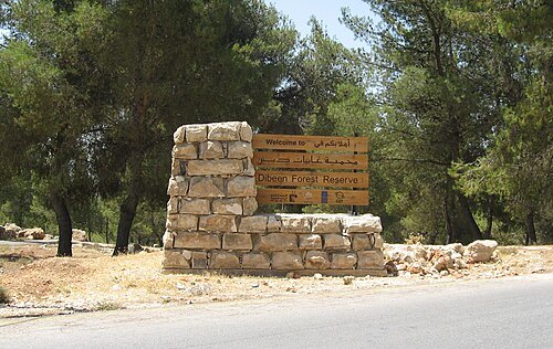 Dibeen Forest Reserve