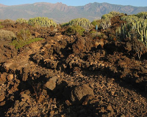Reserva natural especial del Malpaís de Güímar